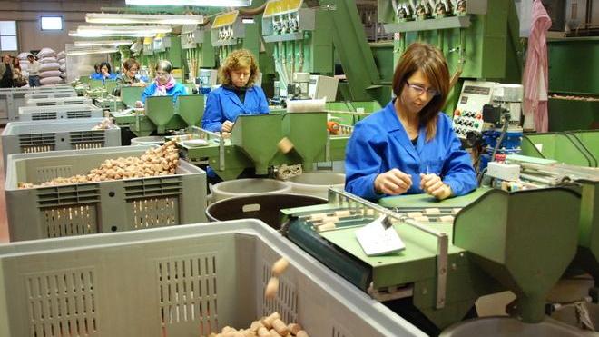 Vini, ecco come usare i tappi di sughero