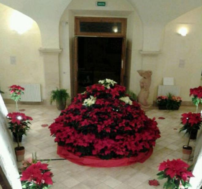 Un percorso alla scoperta di installazioni artistiche