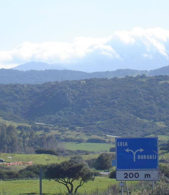 Centrale a biomasse Dorgali ha vinto la battaglia al Tar 