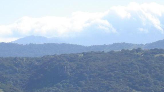 Centrale a biomasse Dorgali ha vinto la battaglia al Tar