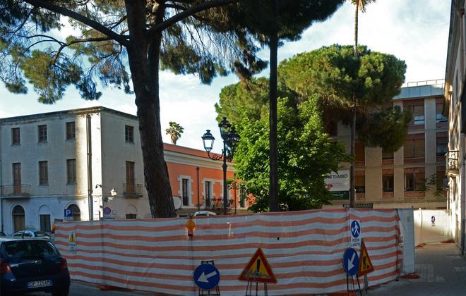 L’Udc accusa: «Salvate quei due pini storici» 