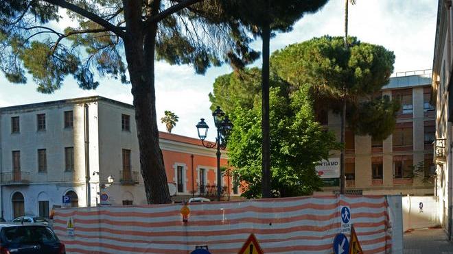 L’Udc accusa: «Salvate quei due pini storici»