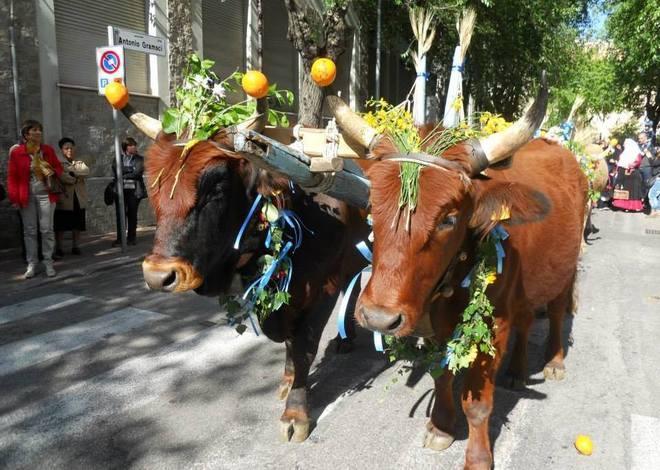 Seuna in festa per Santu Sidore 