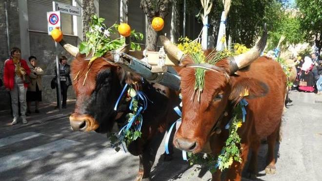 Seuna in festa per Santu Sidore