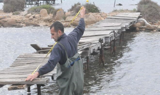 La capitaneria sequestra 36 barche e 12 pontili abusivi