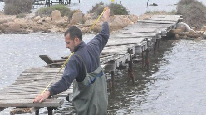 La capitaneria sequestra 36 barche e 12 pontili abusivi
