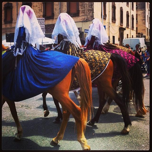 La “grande bellezza” della Cavalcata negli scatti di Instagram 