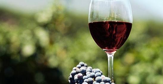 I vini di Sorso trionfano a Ozieri 