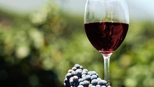 I vini di Sorso trionfano a Ozieri