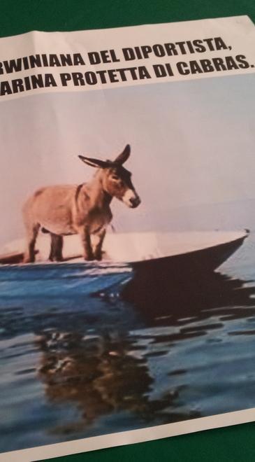 Cabras, nell’area marina protetta campo boe e pesca sono vietati 