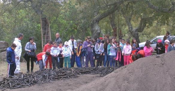 Duecento alunni riscoprono la carbonaia 