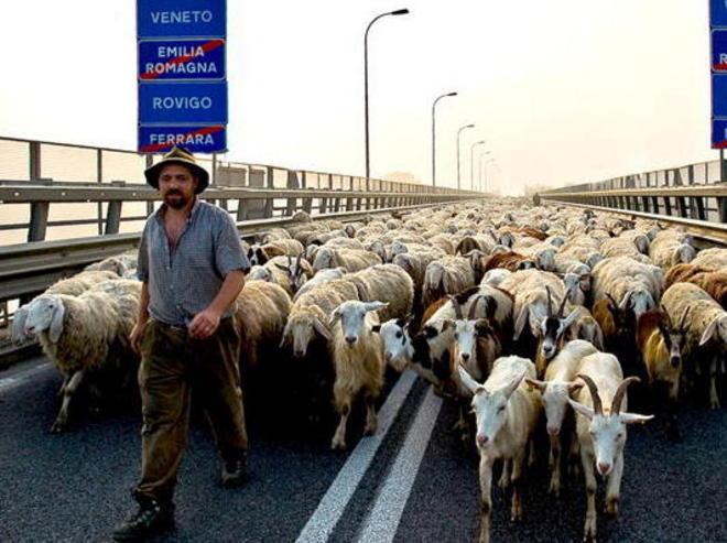 Migra l’ultimo dei pastori «Qui troppa burocrazia» 