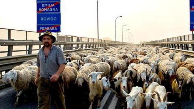 Migra l’ultimo dei pastori «Qui troppa burocrazia»