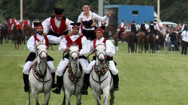 Pariglie, lo spettacolo colorato di rosa da quattro ragazze
