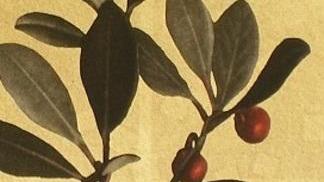 La lezione di Hiroaki Miyayama