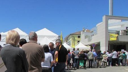 Sagra della canocchia Un successo annunciato