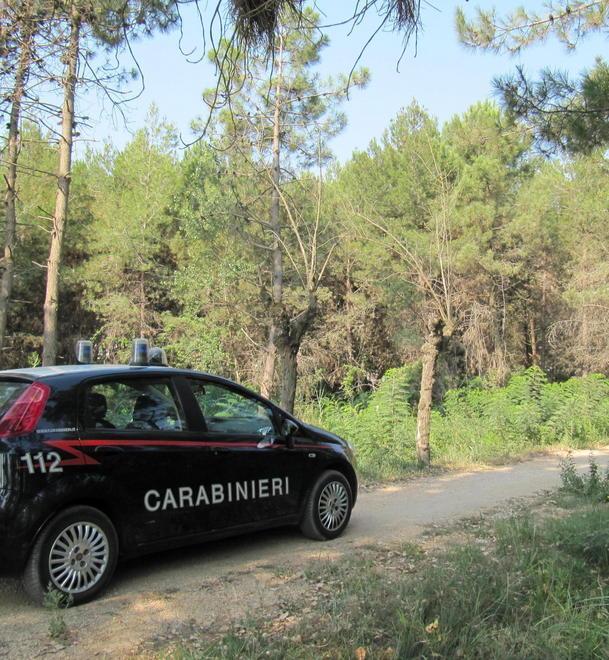 Aggredito da otto persone nella pineta 