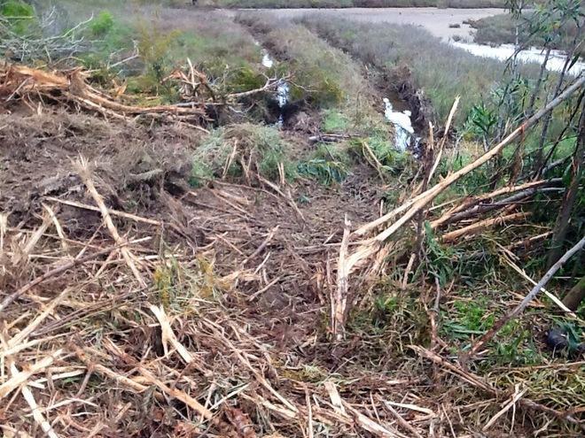 «I lavori nelle saline di Carloforte non erano autorizzati» 