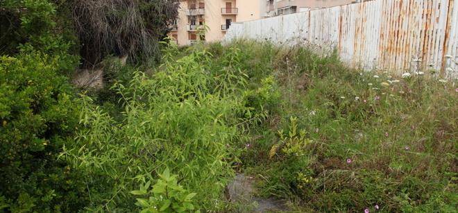 Da via Liguria alla periferia un trionfo di erbacce e di degrado