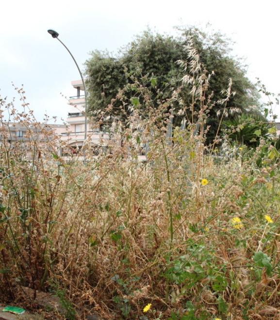 Niente giardinieri sino a giugno 