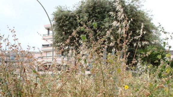 Niente giardinieri sino a giugno
