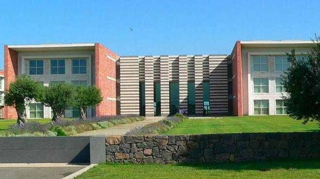 Start up, tutte le app e piattaforme vincenti