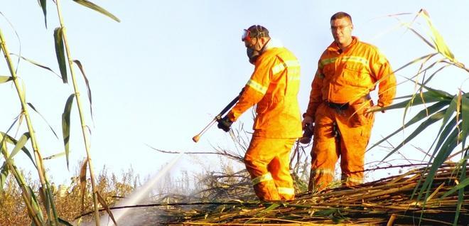 Salaris eletto capitano dei barracelli