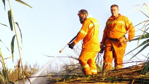Salaris eletto capitano dei barracelli