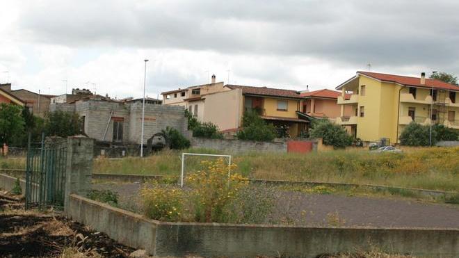 Invasione di zecche al campetto di calcio