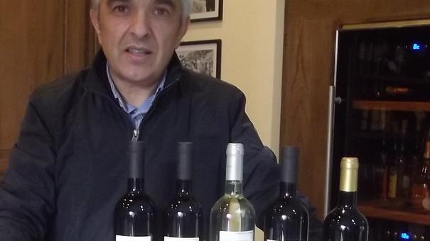 Riconoscimenti internazionali per i vini locali