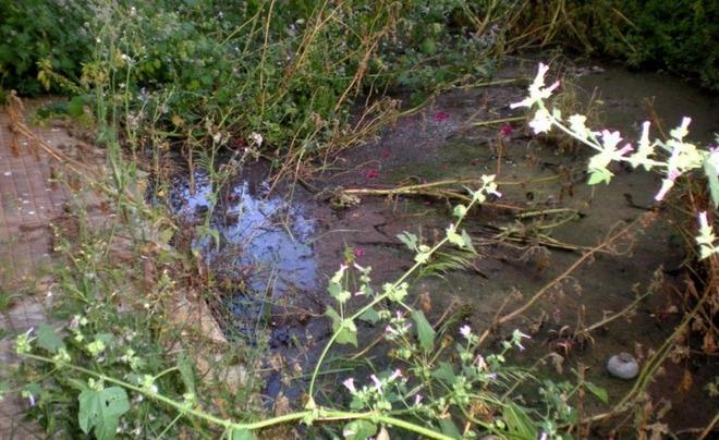 Di nuovo liquami dalle fogne di via Liguria