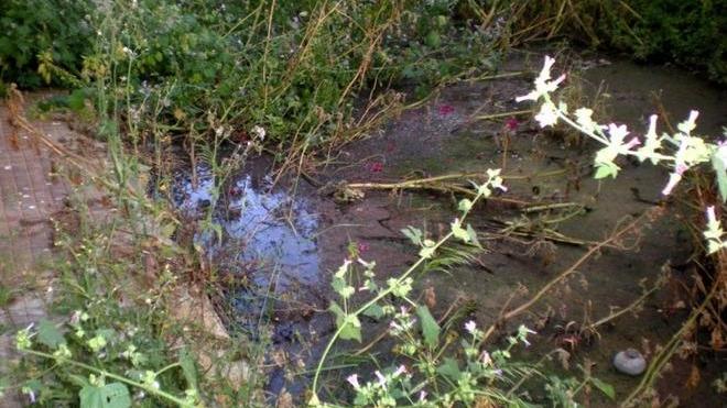 Di nuovo liquami dalle fogne di via Liguria