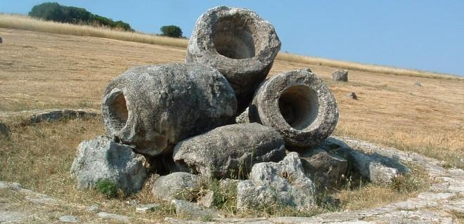 Lavori in vista al Parco paleobotanico
