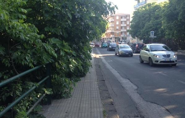 Marciapiede invaso dalle fronde