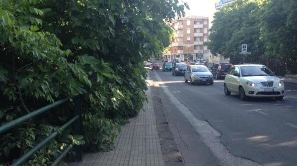 Marciapiede invaso dalle fronde