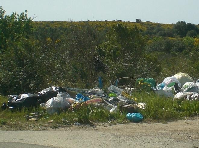 Comune e Corpo forestale insieme per l’ambiente 