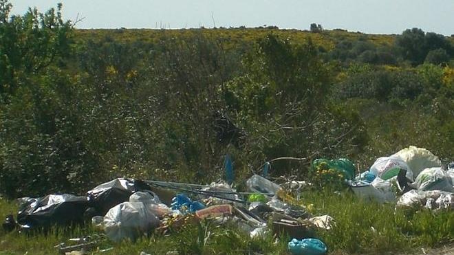 Comune e Corpo forestale insieme per l’ambiente