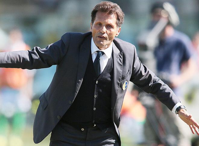 Novellino ha le idee chiare: «Il Modena corre da solo» 