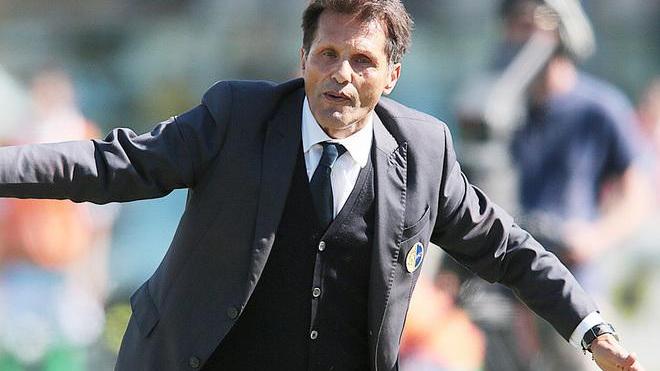 Novellino ha le idee chiare: «Il Modena corre da solo»