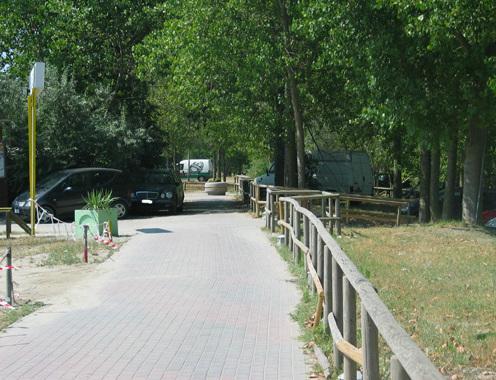 Allarme incendio in pineta ma sono solo sterpaglie 