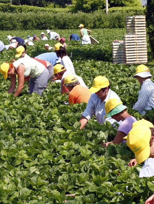 «Sul bonus di 80 euro ci sono problemi» 