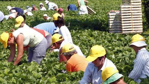 «Sul bonus di 80 euro ci sono problemi»