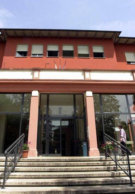 Carpi, zecca infetta bimbo con la rara malattia Borelliosi di Lyme 