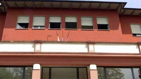 Carpi, zecca infetta bimbo con la rara malattia Borelliosi di Lyme