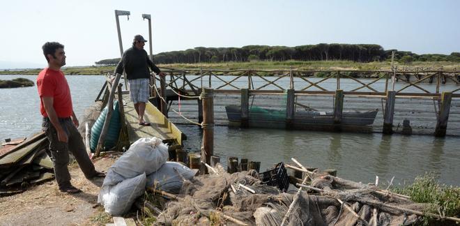 Il vento aiuta Felice, il delfino resta ospite della peschiera 