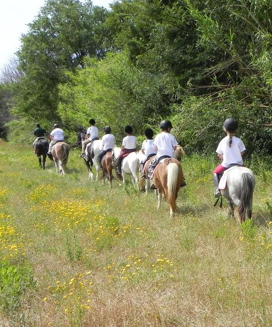 Progetto ippoterapia, via alla due giorni in programma a Onifai 