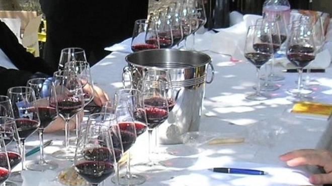 Siniscola, Calici di notte un brindisi per Viniscola