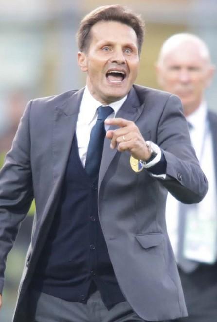 Canarini e delfini, incontrarsi e dirsi quasi sempre addio