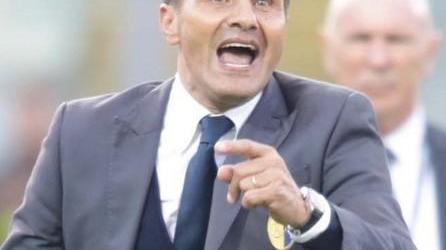 Canarini e delfini, incontrarsi e dirsi quasi sempre addio