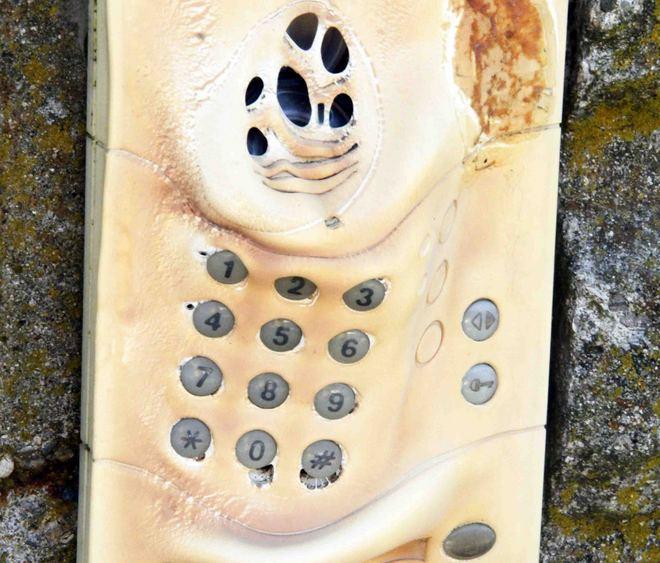 «Cose come questa le avevamo viste soltanto nei film» 